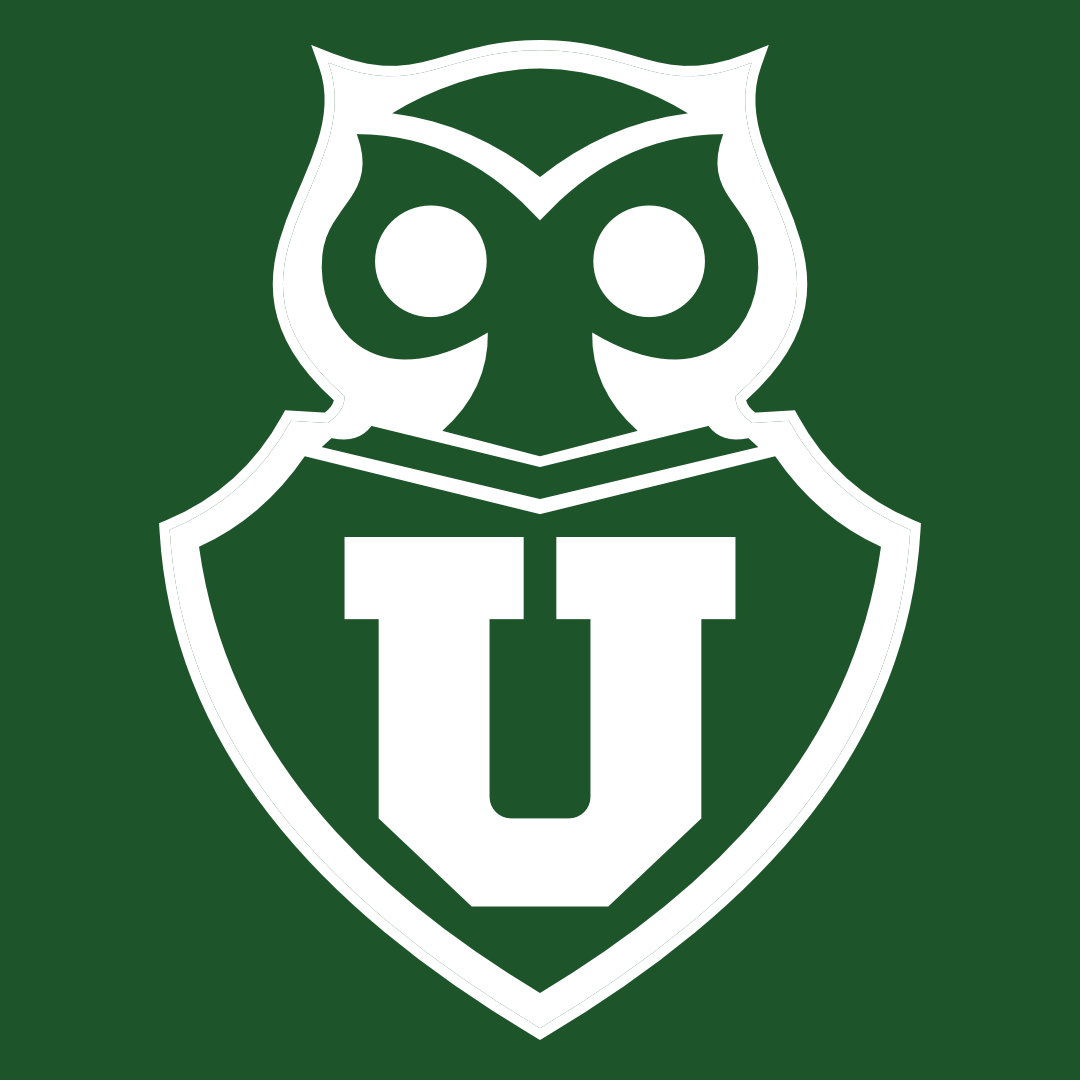 UNIVERSIDAD DE CHILE