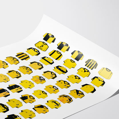 Poster / Camisetas Coquimbo Unido