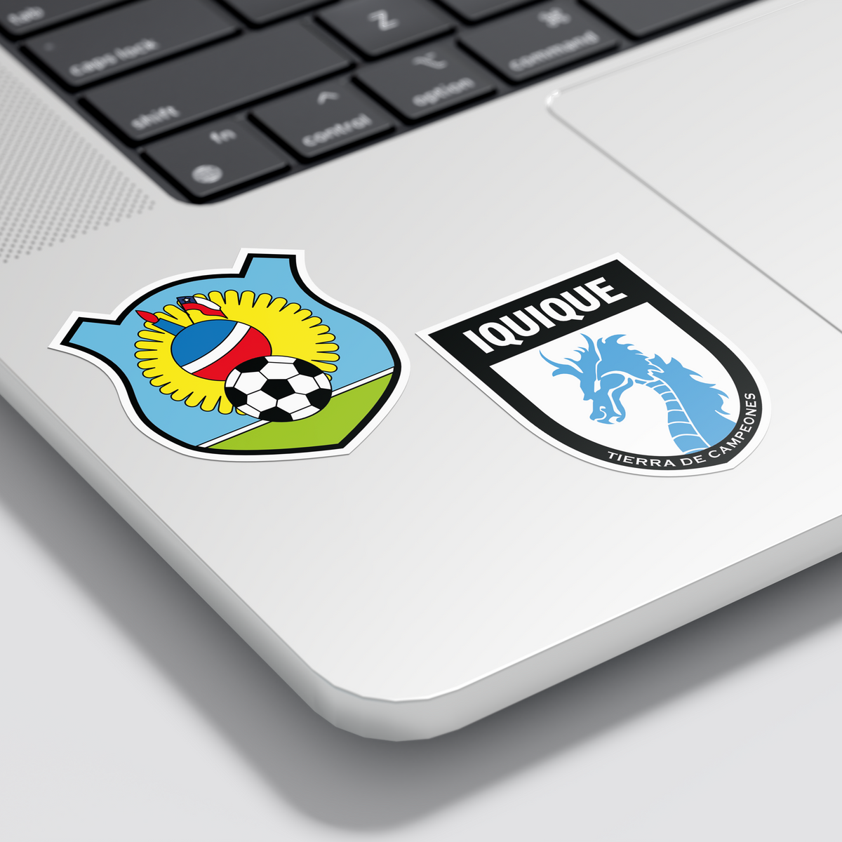 Sticker / Escudos D. Iquique