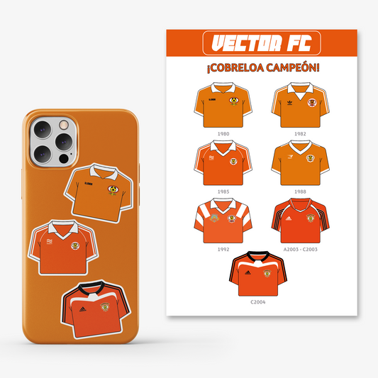 Lámina stickers / Cobreloa Campeón