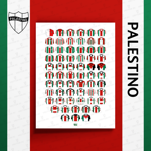 Poster / Camisetas Palestino 2026