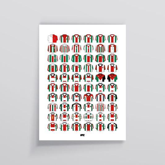 Poster / Camisetas Palestino